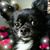 Christa Stamper's profile image