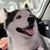 Shorty Alvarez's profile image