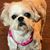 Sophie Crowe's profile image