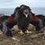 Joanie Seaton's profile image