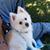 Anthony Spinosa's profile image
