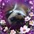 Barbara Newmiller's profile image