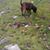 Linda Howard's profile image