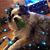 Jennifer Stevens Bridgeford's profile image