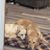 Kim Nistler's profile image