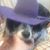 Brian Giovannoni's profile image