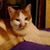 Donnie Ray Blackwell's profile image