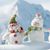Phyllis Sligh Driggers's profile image
