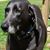 Debbie Stonebraker Tunnell's profile image