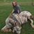 Marrhya Williams's profile image