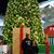 Constancia Urena's profile image