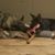 Heidi Cutrer's profile image