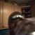 Quamaine Brooks's profile image