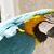 Kathi McCormack's profile image