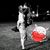 Elana Jonkman's profile image