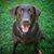 Michael Christopher Hamby's profile image