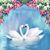 Toni Miller's profile image