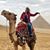 Karen Priebe Palka's profile image