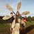 Marie Nadeau Pappadellis's profile image