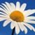 Linda Daugherty's profile image