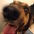 Mark C. Eli's profile image