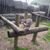 Doreen Helene Kelly's profile image