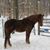 Cindy Cerrigione's profile image