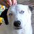Heidi Truran's profile image