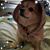 Angela Lee's profile image