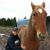 Keri Keeling's profile image