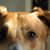 Sarah Rebernick's profile image