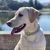 Cynthia Parke Wilson's profile image