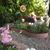 Debbie Dosh Smith's profile image