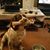 Rachel Keevil's profile image