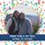 Veronica Lynn Bodge's profile image