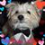 Joe Dionisio's profile image
