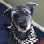Mindy Levin's profile image