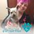 Megan Crawford's profile image