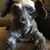 Dean Volkman's profile image