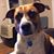 Joy Corbin Beachler Leon's profile image