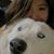 Berenice Becerra's profile image