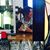 Thais Vieira's profile image