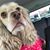 Koral Gallegos's profile image
