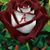 Peggy Murrill's profile image