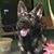 Cat Herrick's profile image