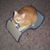Val Thompson's profile image