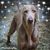 Tammy Cloft Baskin's profile image