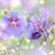 Tiffany Rucker Anderson's profile image