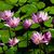 Amanda Roberts Walker's profile image