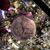 Candy Matarazzo Worman's profile image